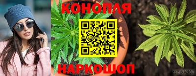 эйфоретик Камышлов